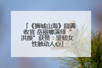 《狮城山海》圆满收官 岳丽娜演绎“洪颜”获赞：坚韧女性触动人心