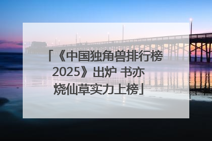 《中国独角兽排行榜2025》出炉 书亦烧仙草实力上榜