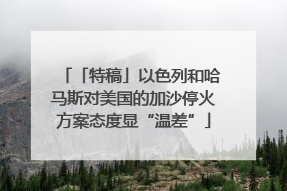 「特稿」以色列和哈马斯对美国的加沙停火方案态度显“温差”