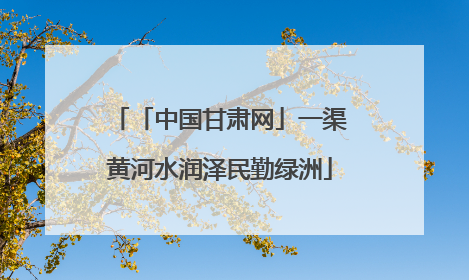 「中国甘肃网」一渠黄河水润泽民勤绿洲