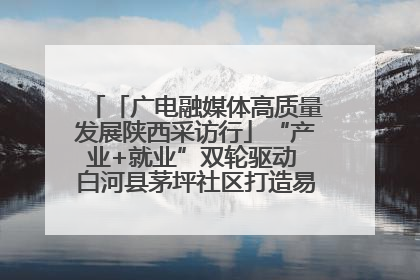 「广电融媒体高质量发展陕西采访行」“产业+就业”双轮驱动 白河县茅坪社区打造易地搬迁后扶新样本