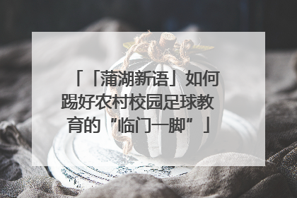 「蒲湖新语」如何踢好农村校园足球教育的“临门一脚”