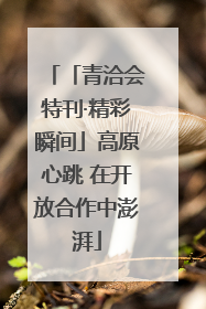 「青洽会特刊·精彩瞬间」高原心跳 在开放合作中澎湃