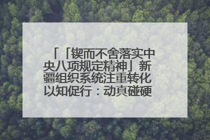 「锲而不舍落实中央八项规定精神」新疆组织系统注重转化以知促行：动真碰硬抓好整改整治