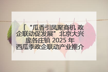 “瓜香引凤聚商机 政企联动促发展”北京大兴庞各庄镇 2025 年西瓜季政企联动产业推介活动圆满举行