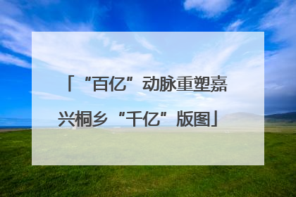 “百亿”动脉重塑嘉兴桐乡“千亿”版图