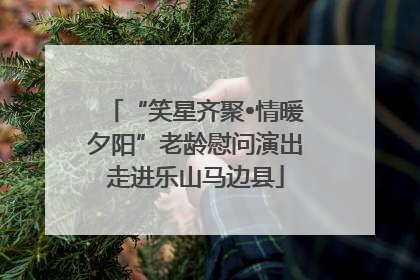 “笑星齐聚•情暖夕阳”老龄慰问演出走进乐山马边县