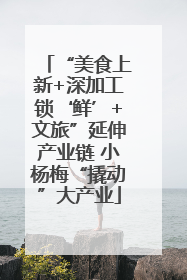 “美食上新+深加工锁‘鲜’+文旅”延伸产业链 小杨梅“撬动”大产业