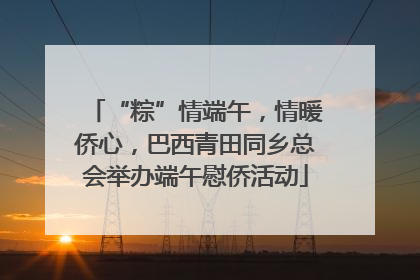 “粽”情端午，情暖侨心，巴西青田同乡总会举办端午慰侨活动