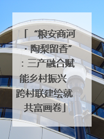 “粮安商河・陶梨留香”：三产融合赋能乡村振兴 跨村联建绘就共富画卷