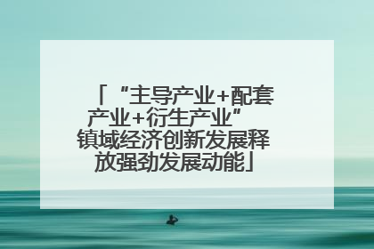 “主导产业+配套产业+衍生产业” 镇域经济创新发展释放强劲发展动能