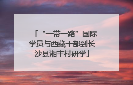 “一带一路”国际学员与西藏干部到长沙县湘丰村研学