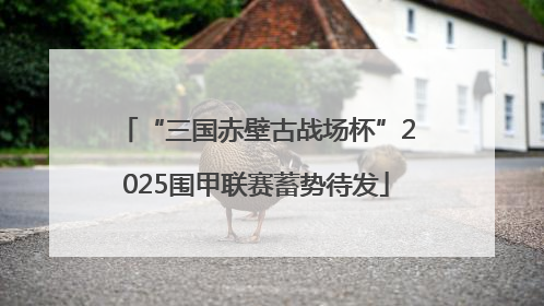 “三国赤壁古战场杯”2025围甲联赛蓄势待发