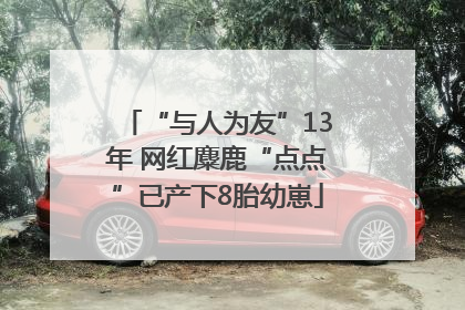 “与人为友”13年 网红麋鹿“点点”已产下8胎幼崽