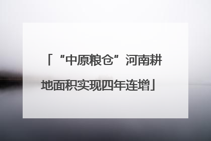 “中原粮仓”河南耕地面积实现四年连增