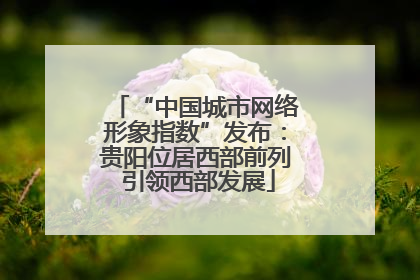 “中国城市网络形象指数”发布：贵阳位居西部前列 引领西部发展