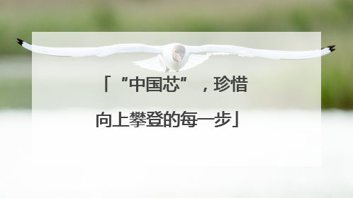 “中国芯”，珍惜向上攀登的每一步