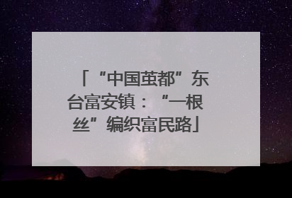 “中国茧都”东台富安镇：“一根丝”编织富民路