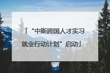 “中斯跨国人才实习就业行动计划”启动