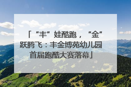 “丰”娃酷跑，“金”跃腾飞：丰金博苑幼儿园首届跑酷大赛落幕