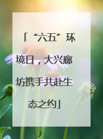 “六五”环境日，大兴廊坊携手共赴生态之约