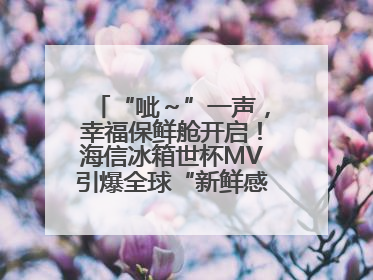 “呲～”一声，幸福保鲜舱开启！海信冰箱世杯MV引爆全球“新鲜感”共鸣