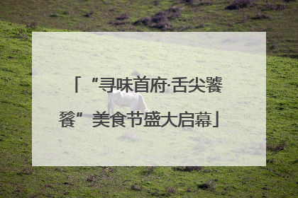 “寻味首府·舌尖饕餮”美食节盛大启幕