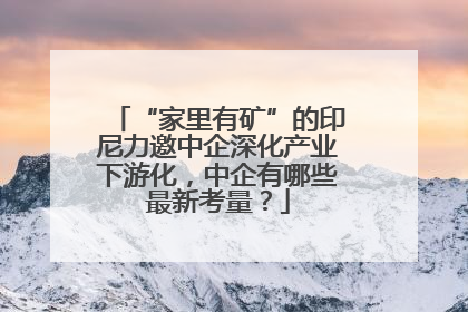 “家里有矿”的印尼力邀中企深化产业下游化，中企有哪些最新考量？