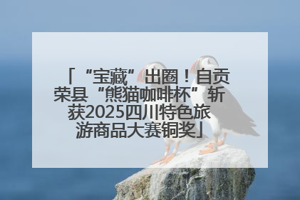 “宝藏”出圈！自贡荣县“熊猫咖啡杯”斩获2025四川特色旅游商品大赛铜奖