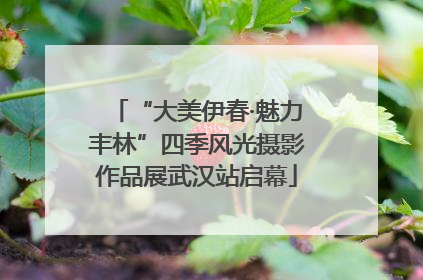 “大美伊春·魅力丰林”四季风光摄影作品展武汉站启幕