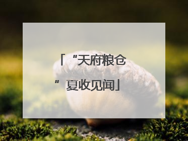 “天府粮仓”夏收见闻