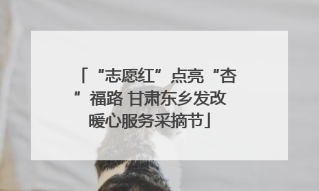 “志愿红”点亮“杏”福路 甘肃东乡发改暖心服务采摘节
