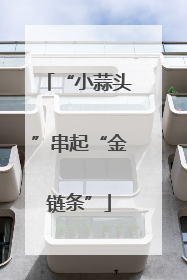 “小蒜头”串起“金链条”