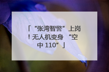 “张湾智警”上岗！无人机变身 “空中 110”