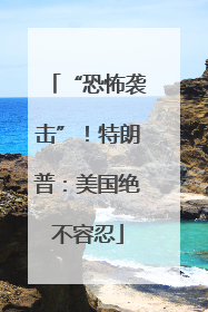“恐怖袭击”！特朗普：美国绝不容忍