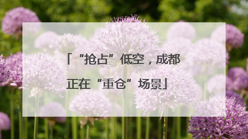 “抢占”低空，成都正在“重仓”场景