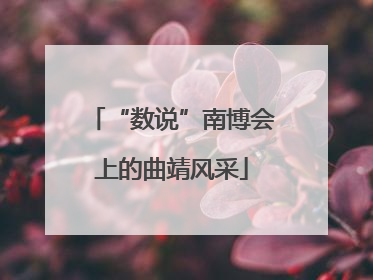 “数说”南博会上的曲靖风采
