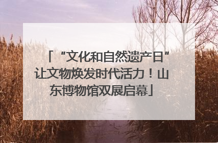 “文化和自然遗产日”让文物焕发时代活力！山东博物馆双展启幕