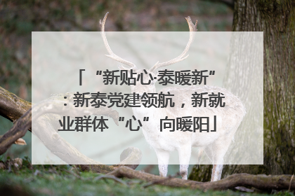 “新贴心·泰暖新”：新泰党建领航，新就业群体“心”向暖阳
