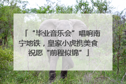 “毕业音乐会”唱响南宁地铁，皇家小虎携美食祝愿“前程似锦”