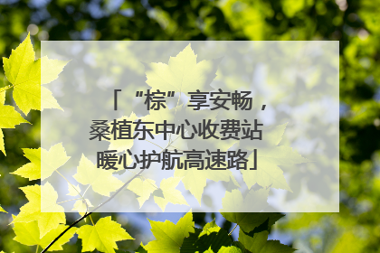 “棕”享安畅，桑植东中心收费站暖心护航高速路