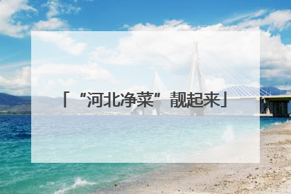 “河北净菜”靓起来