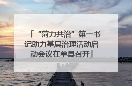 “菏力共治”第一书记助力基层治理活动启动会议在单县召开