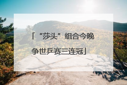 “莎头”组合今晚争世乒赛三连冠