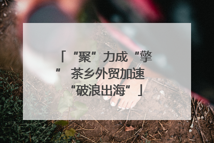 “聚”力成“擎” 茶乡外贸加速“破浪出海”