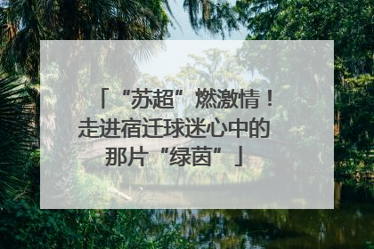 “苏超”燃激情！走进宿迁球迷心中的那片“绿茵”