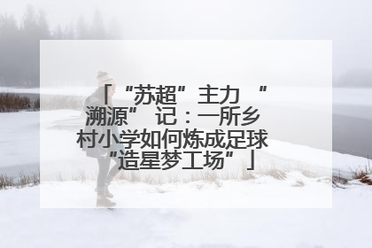 “苏超”主力 “溯源” 记：一所乡村小学如何炼成足球 “造星梦工场”
