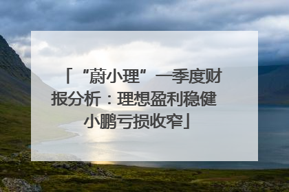 “蔚小理”一季度财报分析：理想盈利稳健 小鹏亏损收窄