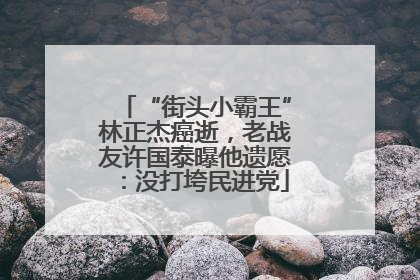 “街头小霸王”林正杰癌逝，老战友许国泰曝他遗愿：没打垮民进党