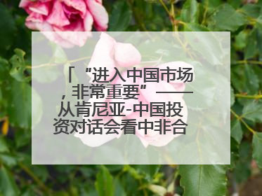 “进入中国市场，非常重要”——从肯尼亚-中国投资对话会看中非合作机遇